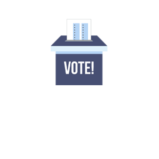 Conditional Voter Registration Ballot Status